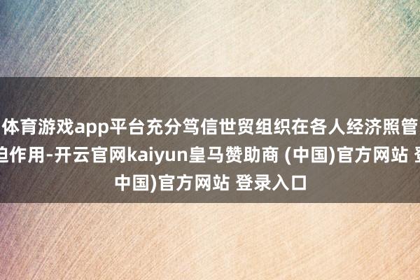 体育游戏app平台充分笃信世贸组织在各人经济照管中的蹙迫作用-开云官网kaiyun皇马赞助商 (中国)官方网站 登录入口